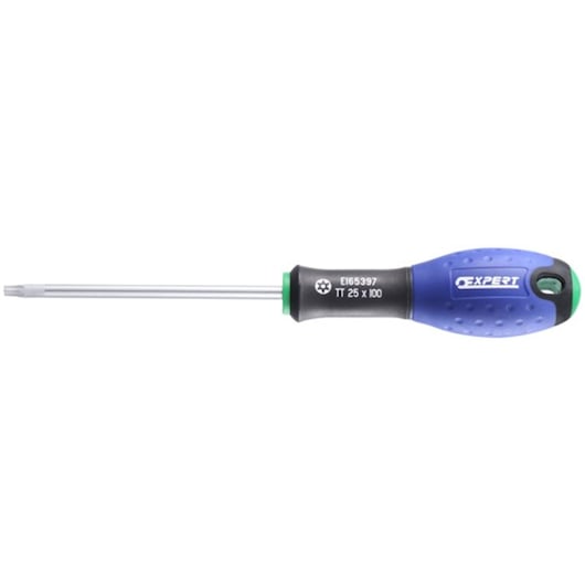 EXPERT by FACOM® Resistorx® screwdriver TT15x75 mm